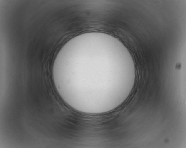 X0000101700276200807101353