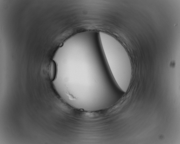 X0000101700277200807101353