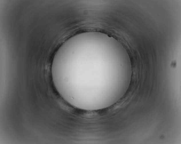 X0000101700278200807101353