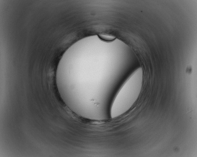 X0000101700279200807101353