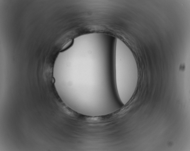 X0000101700281200807101353