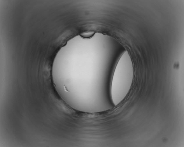 X0000101700282200807101353
