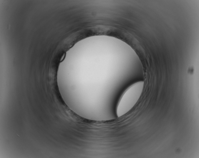 X0000101700283200807101353