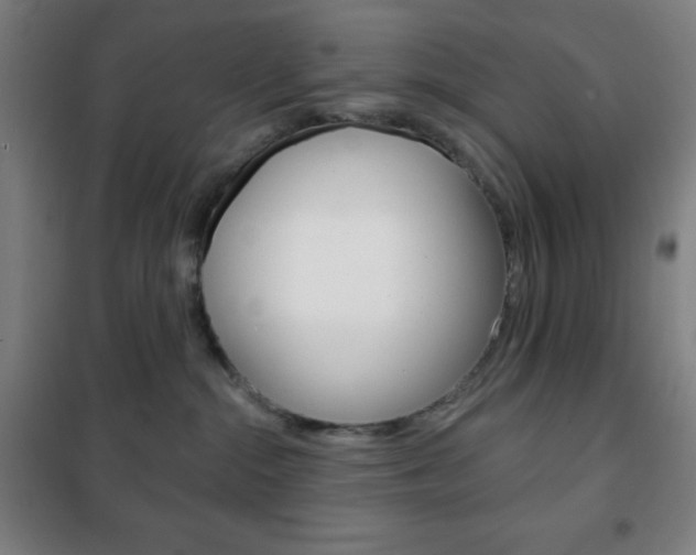 X0000101700284200807101353