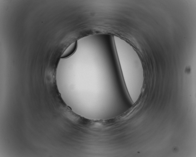 X0000101700285200807101353