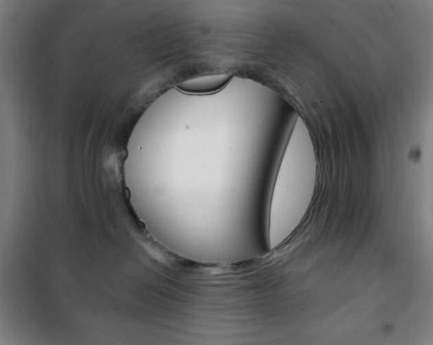 X0000101700286200807101353