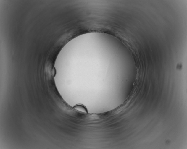 X0000101700287200807101353