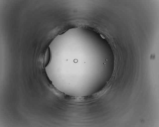 X0000101700288200807101353