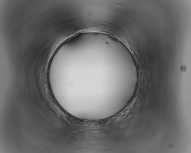 X0000101700289200807101352