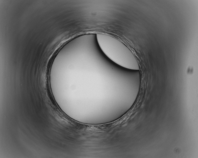 X0000101700290200807101352