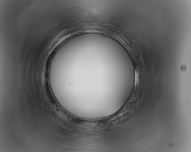X0000101700291200807101352