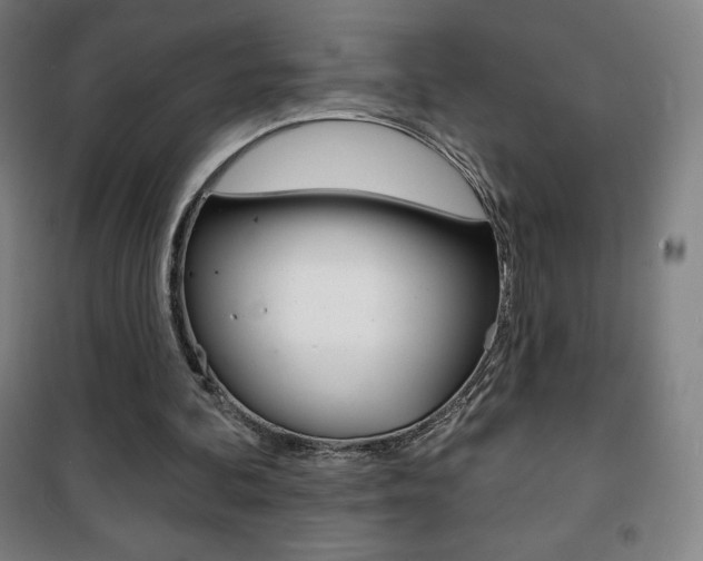 X0000101700292200807101352