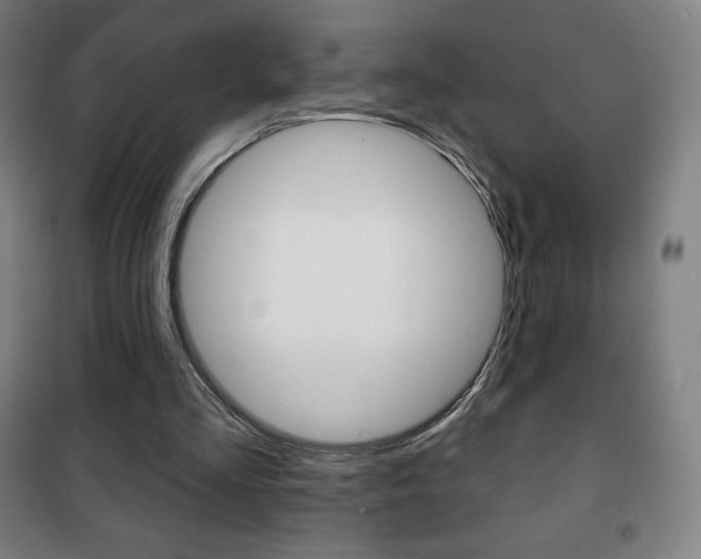 X0000101700293200807101352