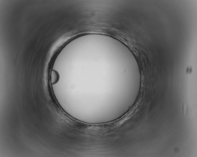 X0000101700294200807101352