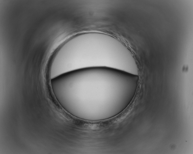 X0000101700295200807101352