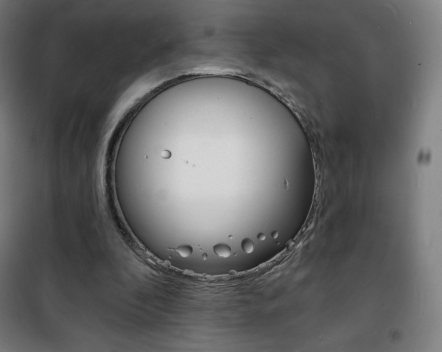 X0000101700296200807101352