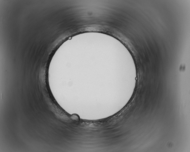 X0000101700297200807101352