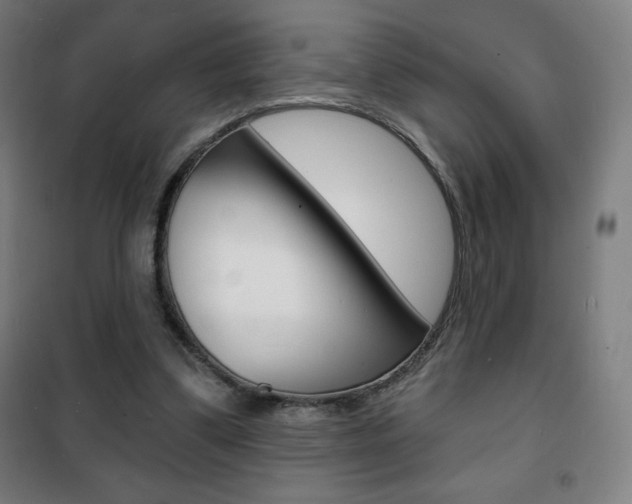 X0000101700299200807101352