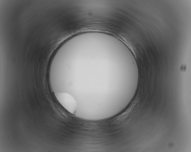 X0000101700301200807101352