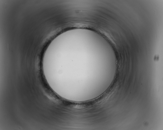 X0000101700303200807101352