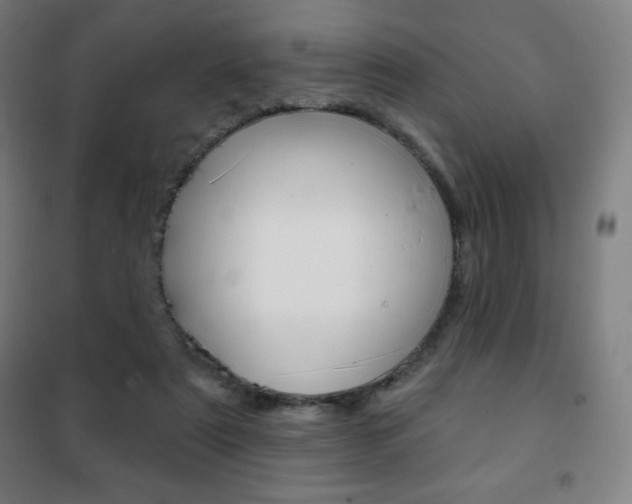 X0000101700307200807101352