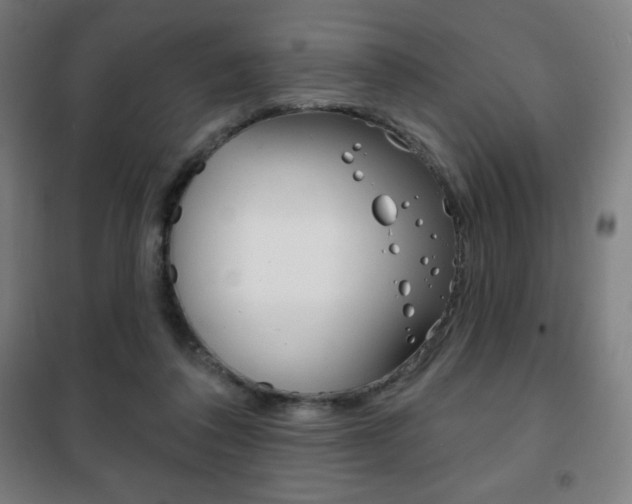 X0000101700308200807101352