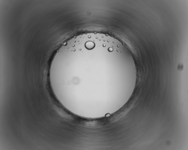 X0000101700309200807101352