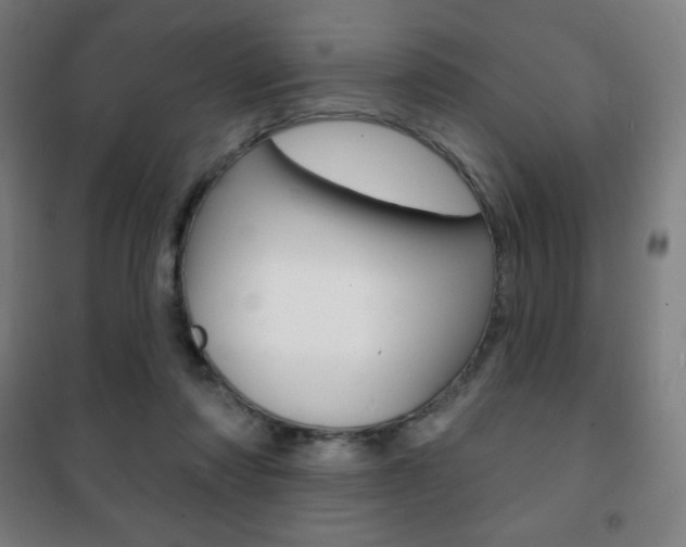 X0000101700310200807101352