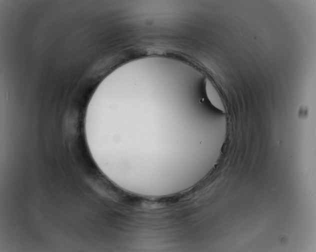 X0000101700311200807101352