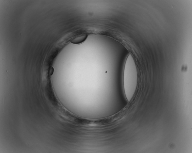 X0000101700312200807101352
