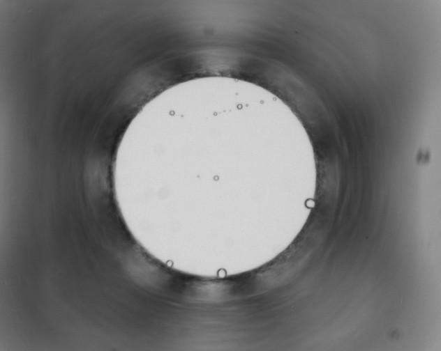 X0000101700313200807101352