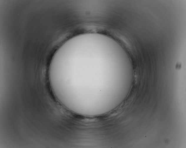 X0000101700314200807101352