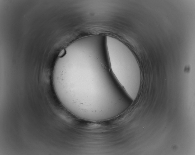 X0000101700315200807101351