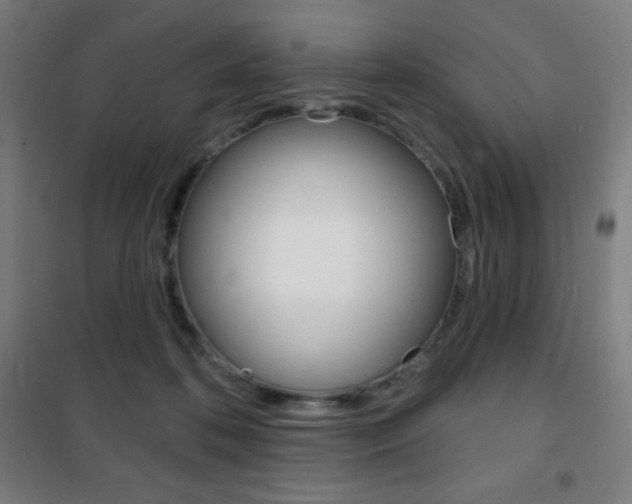 X0000101700316200807101351