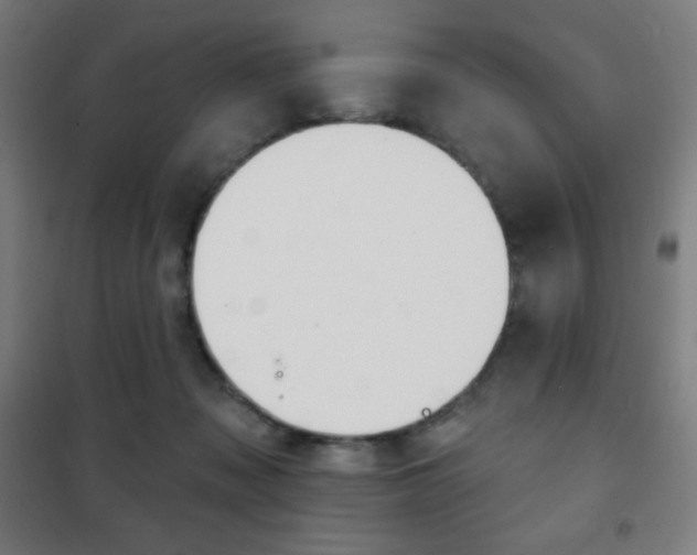 X0000101700317200807101351