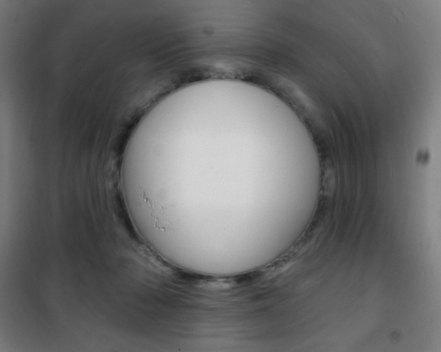 X0000101700318200807101351