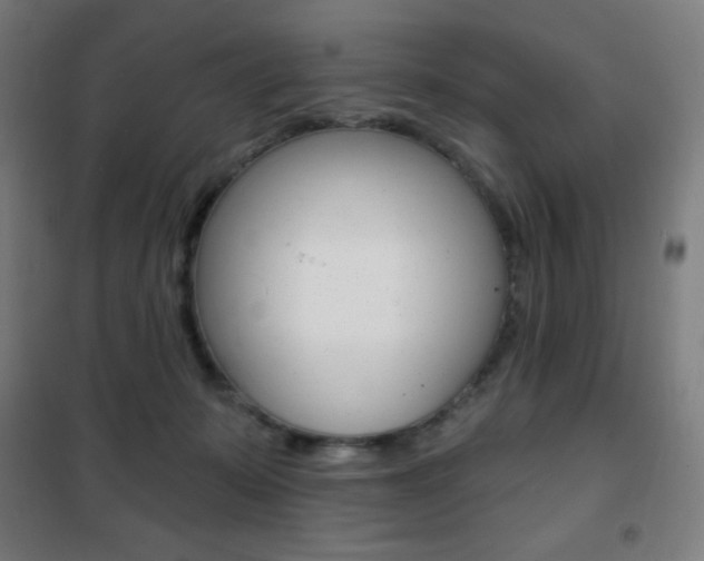 X0000101700319200807101351