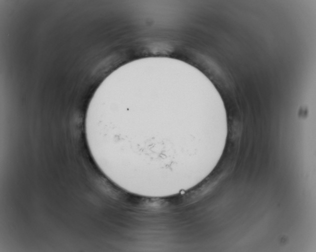 X0000101700321200807101351