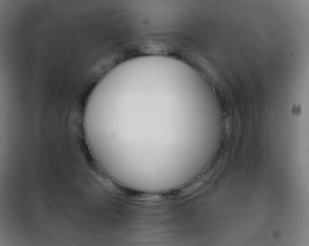 X0000101700322200807101351