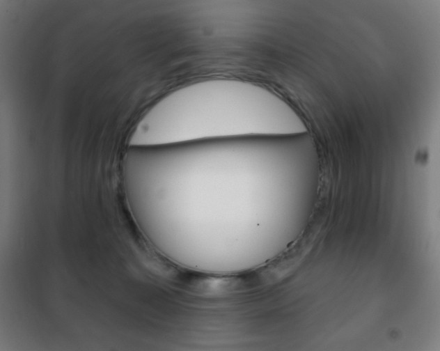 X0000101700323200807101351