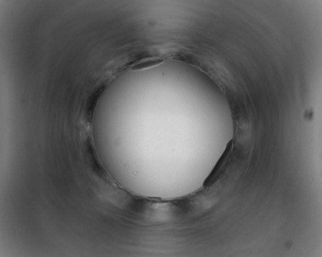 X0000101700324200807101351