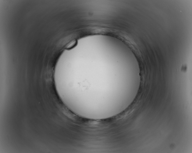 X0000101700325200807101351