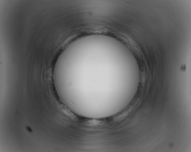 X0000101700326200807101351