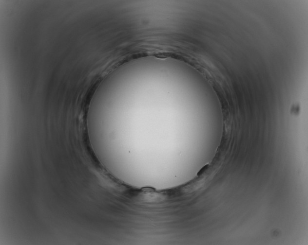 X0000101700327200807101351