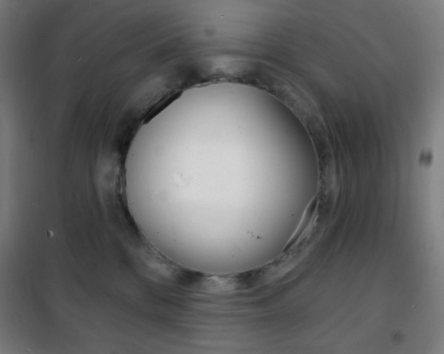 X0000101700328200807101351