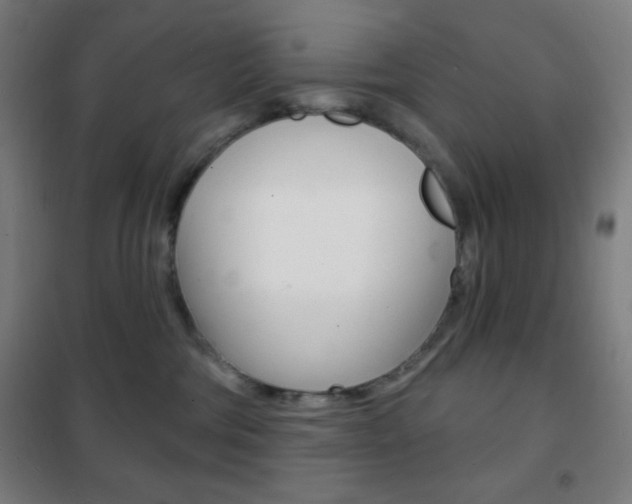 X0000101700330200807101351