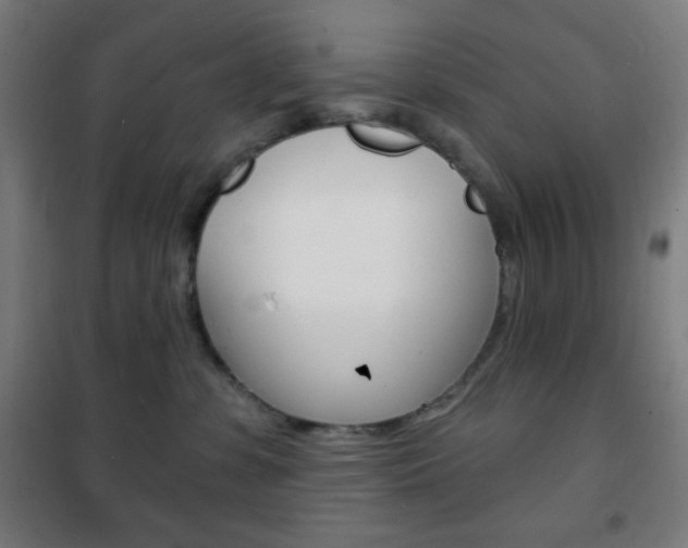 X0000101700331200807101351