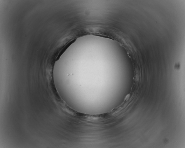 X0000101700332200807101351