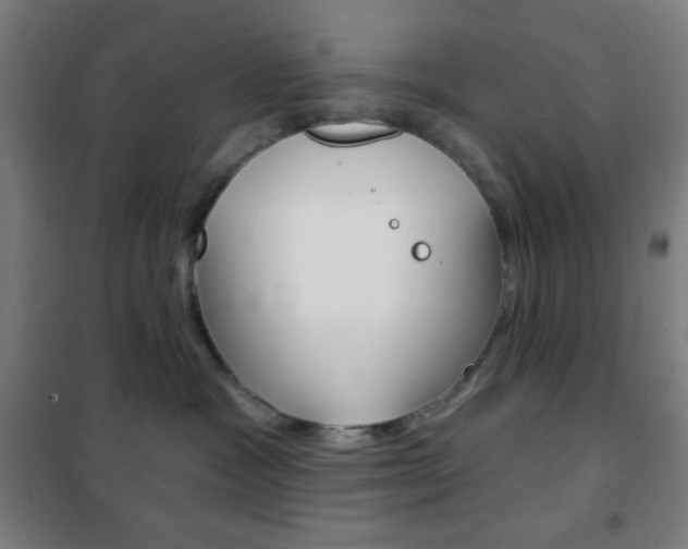 X0000101700333200807101351