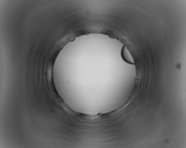 X0000101700334200807101351